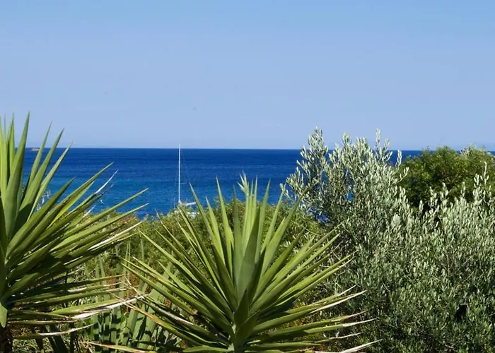 Villa Tempera Vis